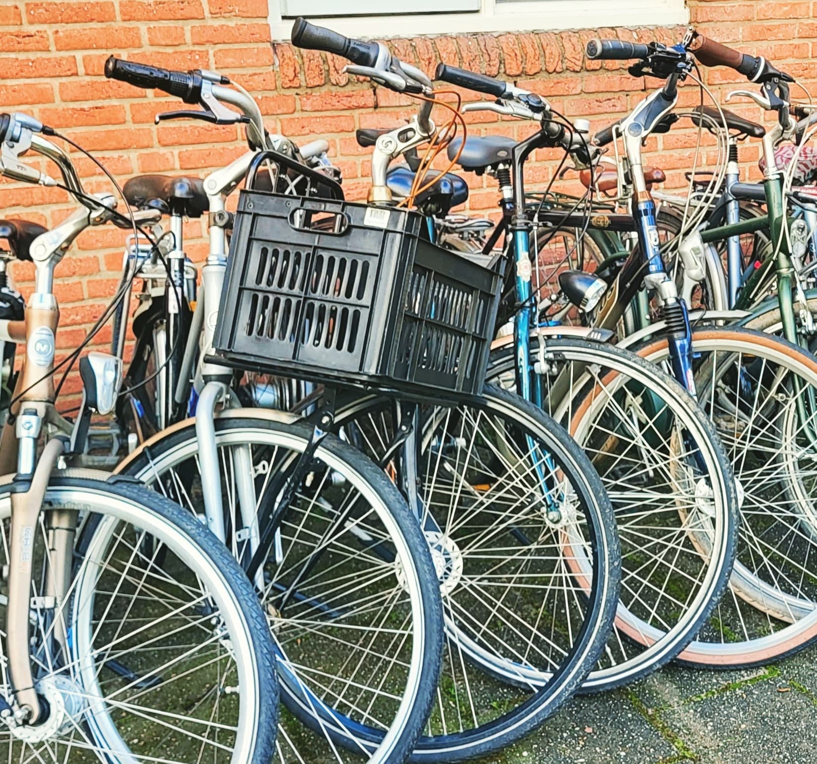 Bakfiets Service