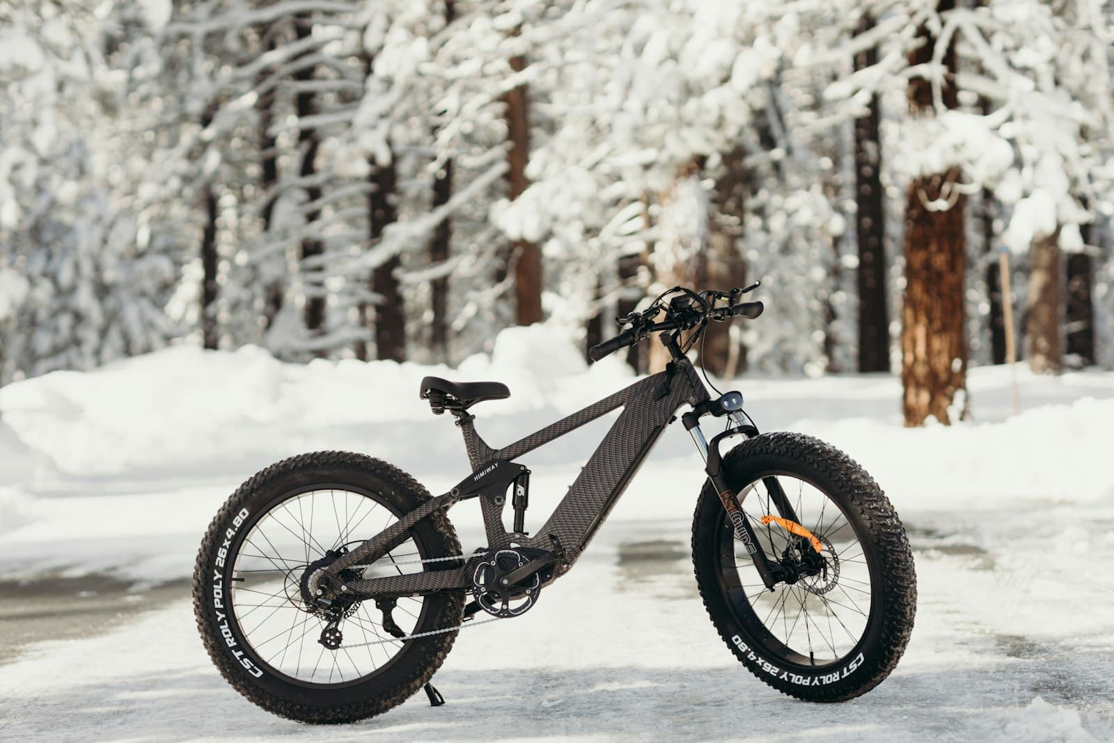 Fatbike Service